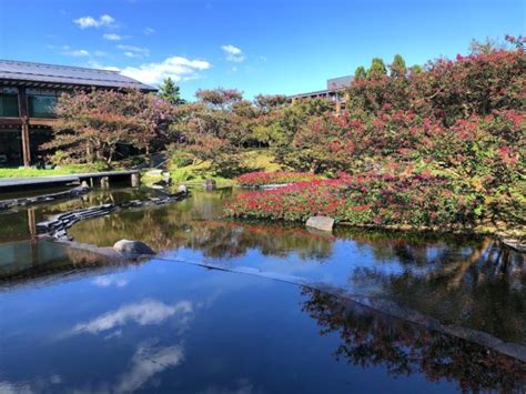 朱雀花|朱雀の庭｜【京都市公式】京都観光Nav